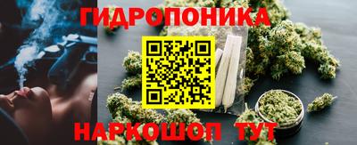 эйфоретик Аргун