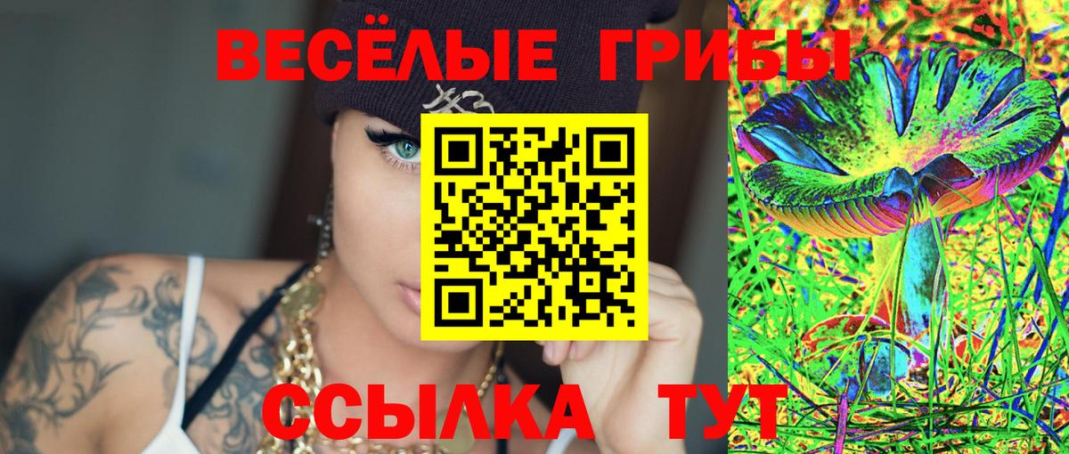 Вятские Поляны  Галлюциногенные грибы Magic Shrooms  Вход с VPN 