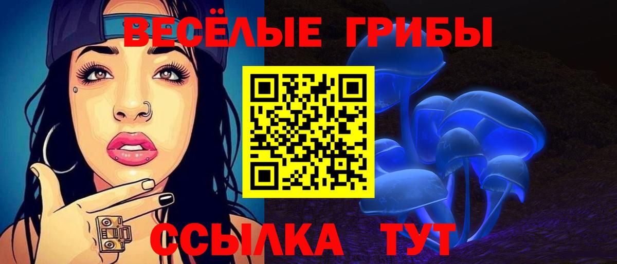 Псилоцибиновые грибы MAGIC MUSHROOMS Вятские Поляны
