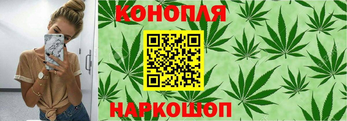 Канабис OG Kush Вятские Поляны